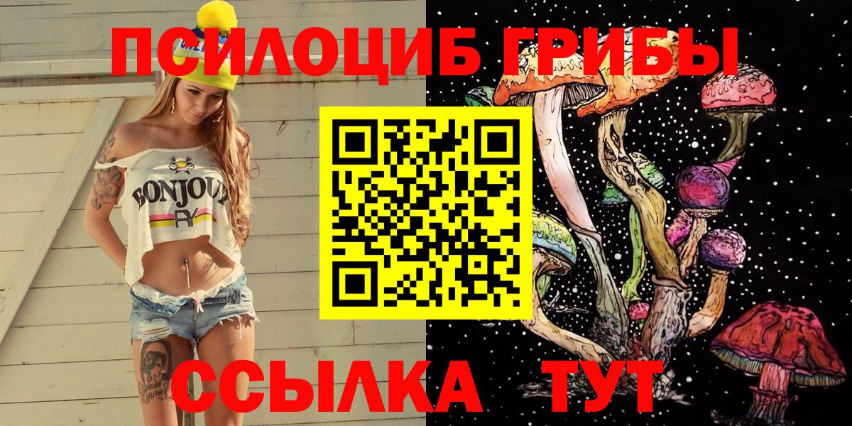 Псилоцибиновые грибы Psilocybe  наркошоп  Отрадное  Вход с VPN 